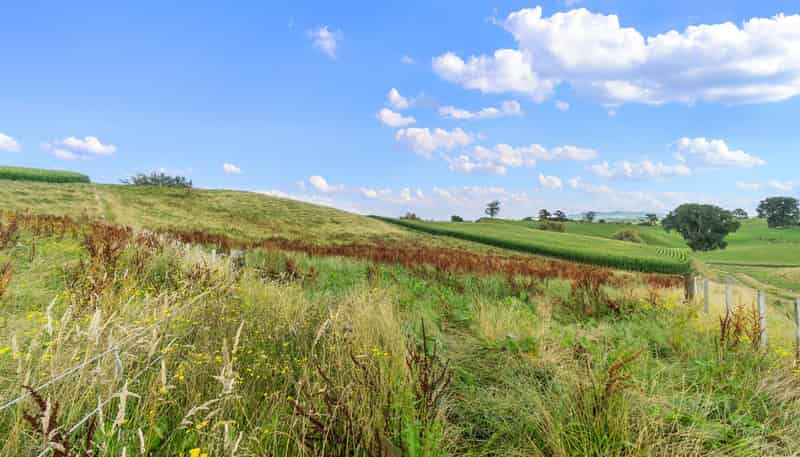 Lot 4, Tapapa Road West, Tirau