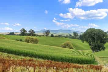 Lot 4, Tapapa Road West, Tirau