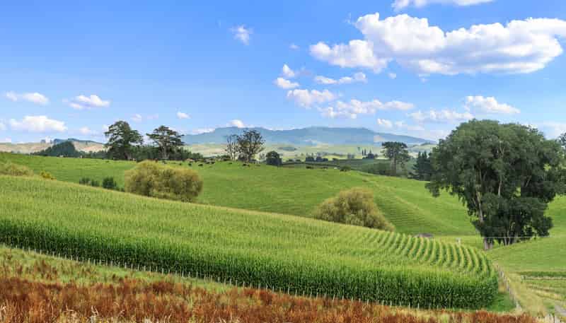 Lot 4, Tapapa Road West, Tirau