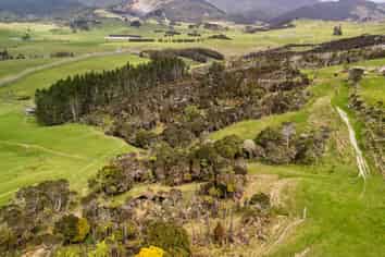 133 Okahu Road, Kaitaia