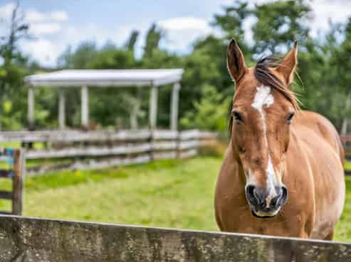 198b Devich Road, Mangawhai