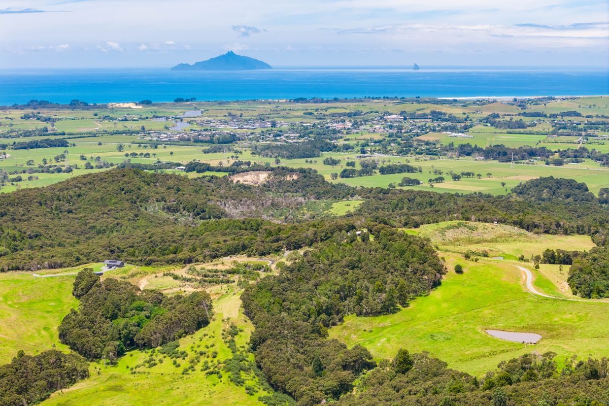 Your ultimate family getaway in Waipu - Widok 2