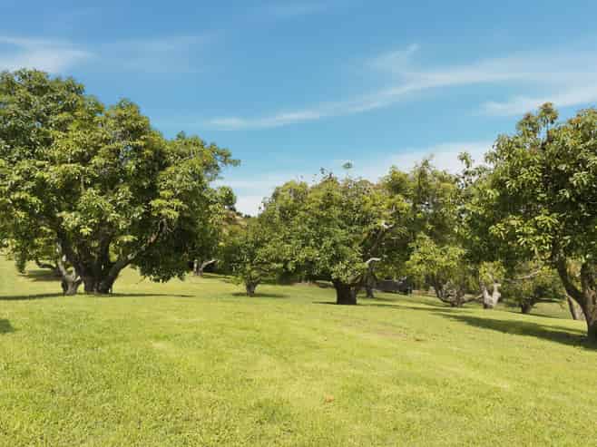 248 Pyes Pa Road, Pyes Pa