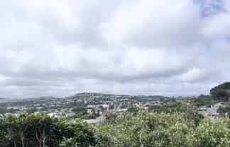 37B Truscott Avenue, Johnsonville