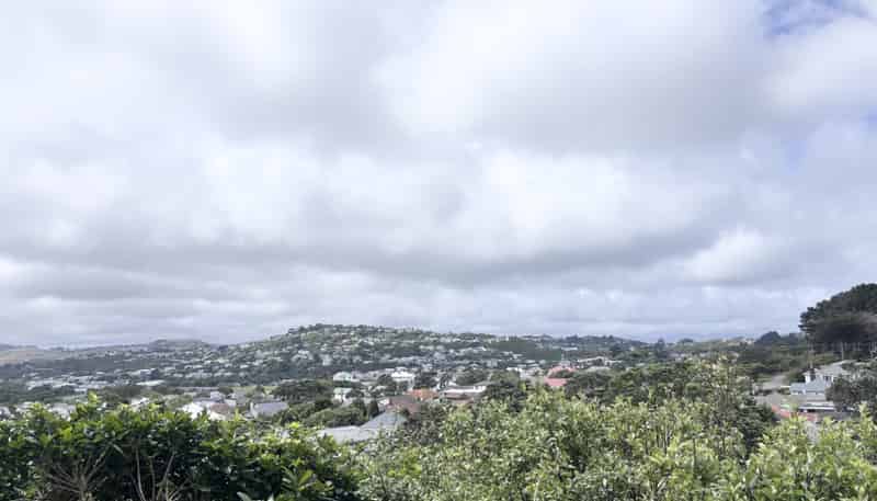 37B Truscott Avenue, Johnsonville