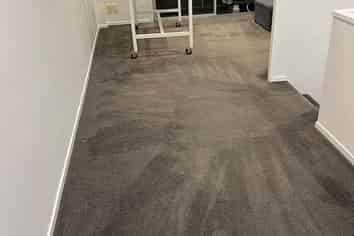 8/3 Ngahura Street, Eden Terrace