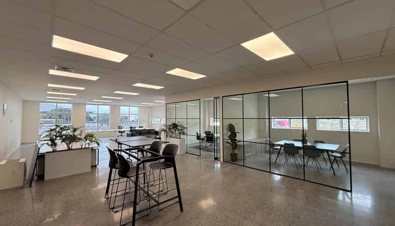 20 Augustus Terrace, Parnell