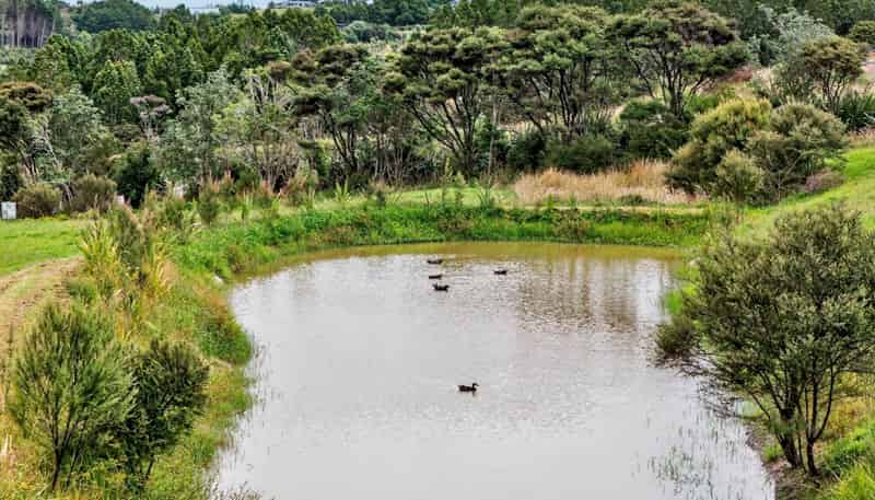 179b Cames Road, Mangawhai