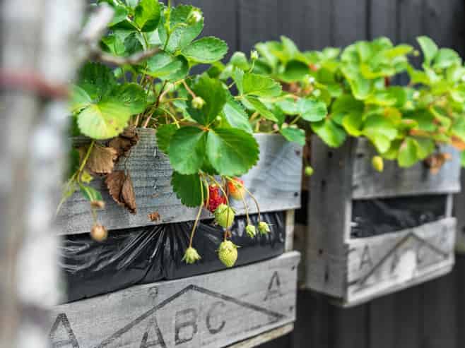 11 Alidade Place, Massey