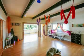 Versatile Albany Studio - Available Now