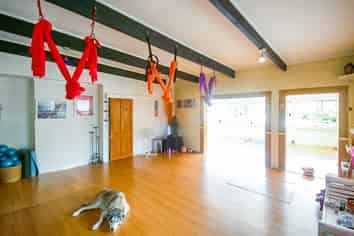 Versatile Albany Studio - Available Now