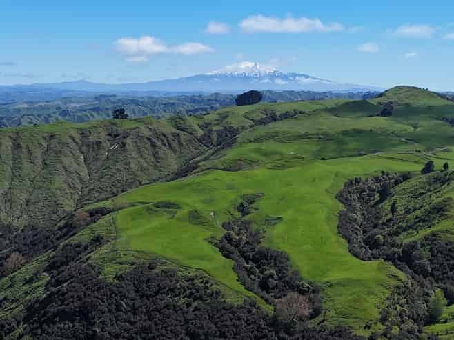 3104 Mangamahu Road , Mangamahu