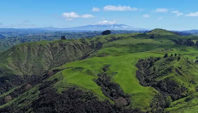 3104 Mangamahu Road , Mangamahu