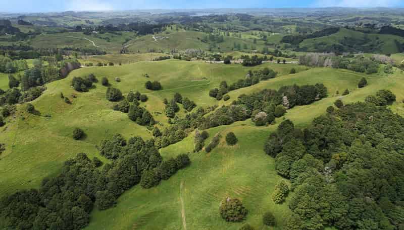 Lot 2/347 Porter Road, Paparoa