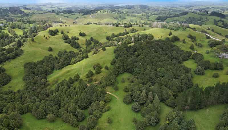 Lot 2/347 Porter Road, Paparoa