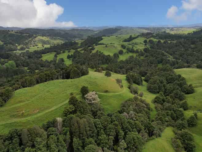 Lot 2/347 Porter Road, Paparoa