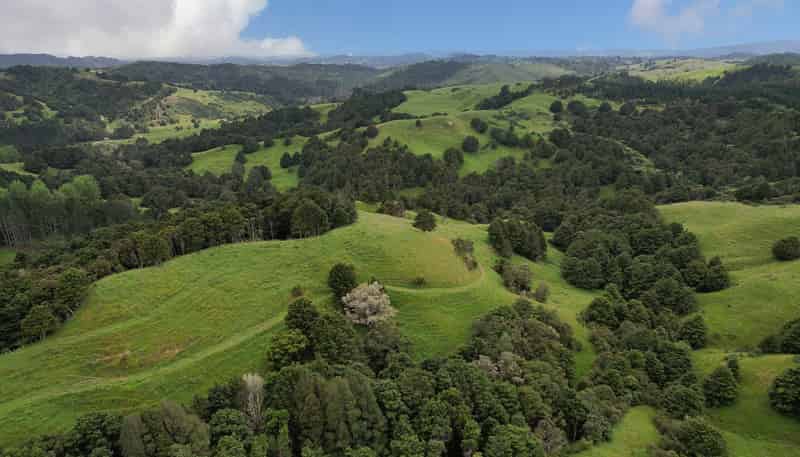 Lot 2/347 Porter Road, Paparoa