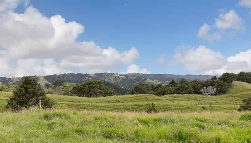 Lot 2/347 Porter Road, Paparoa