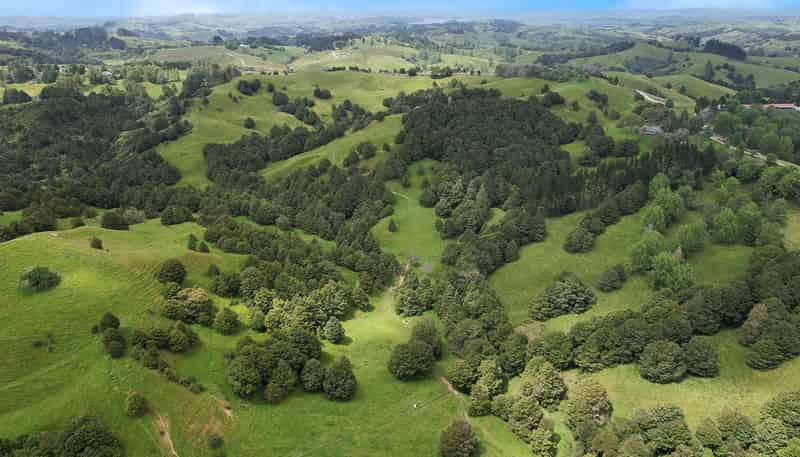 Lot 2/347 Porter Road, Paparoa