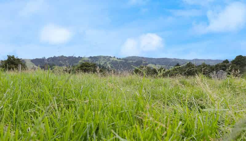 Lot 2/347 Porter Road, Paparoa