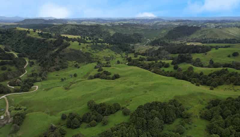 Lot 2/347 Porter Road, Paparoa