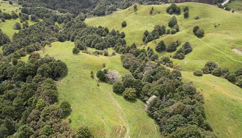 Lot 2/347 Porter Road, Paparoa