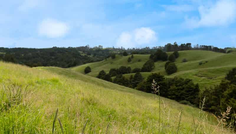 Lot 2/347 Porter Road, Paparoa