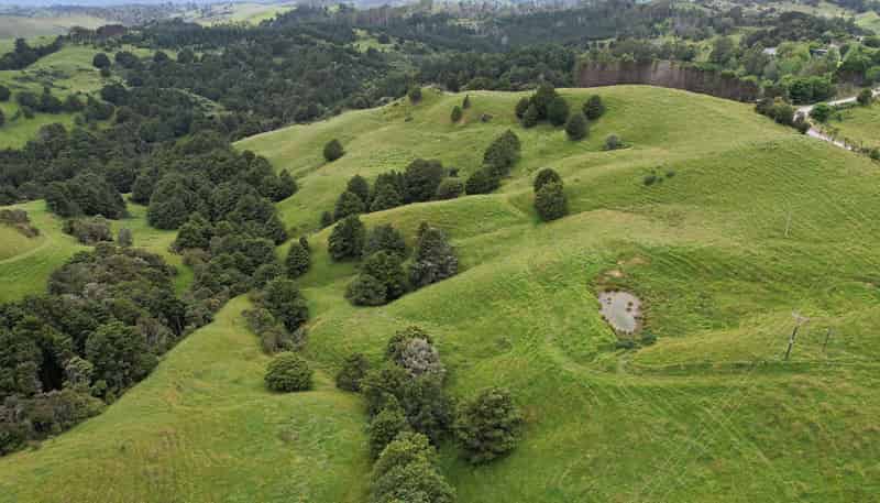 Lot 2/347 Porter Road, Paparoa