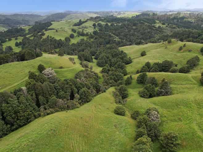 Lot 2/347 Porter Road, Paparoa