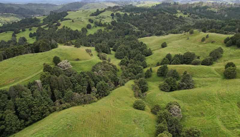 Lot 2/347 Porter Road, Paparoa