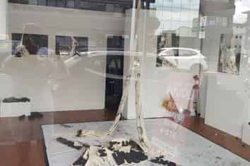 68 New North Road, Eden Terrace