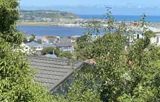 17 Rakau Road, Hataitai