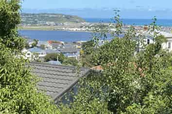 17 Rakau Road, Hataitai