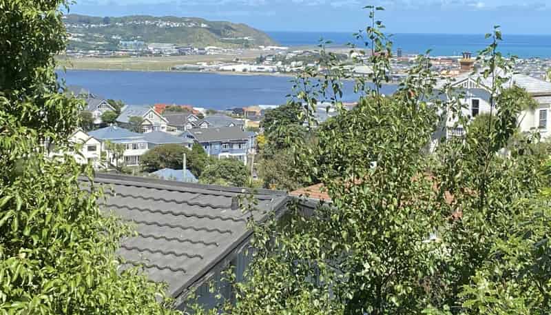 17 Rakau Road, Hataitai