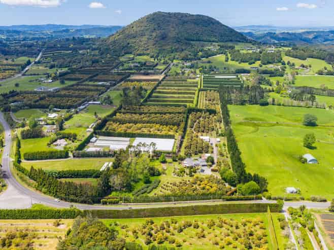 1611 State Highway 14, Maungatapere