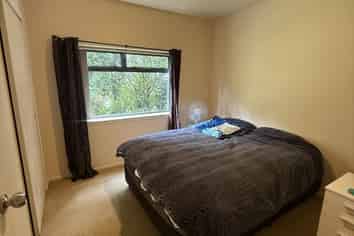 50 Chorley Avenue, Massey