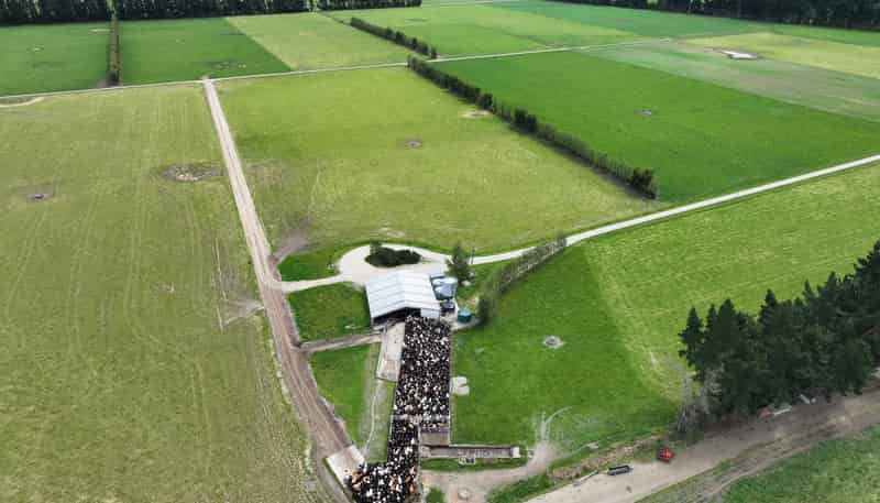 195 Dunn and Cody Road, Riversdale