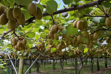 5 Selwyn Road, Poroporo