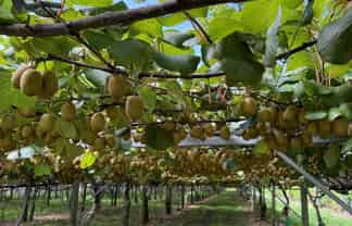 5 Selwyn Road, Poroporo