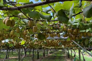 5 Selwyn Road, Poroporo