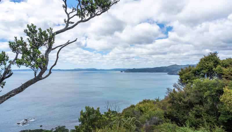 126 Waihirere Drive, Tuateawa, Tuateawa