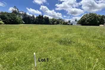 Near 1757 Tarata Road, Tarata