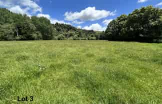 Near 1757 Tarata Road, Tarata