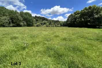 Near 1757 Tarata Road, Tarata