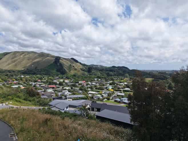 107 Kakariki Grove, Waikanae