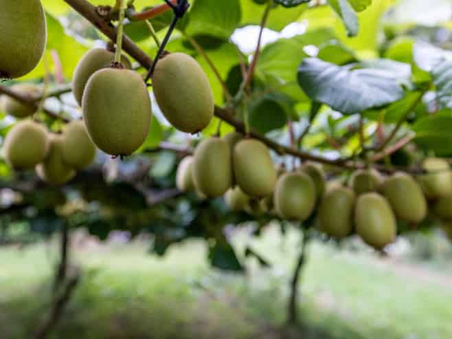 19E Amber Lane, Karapiro