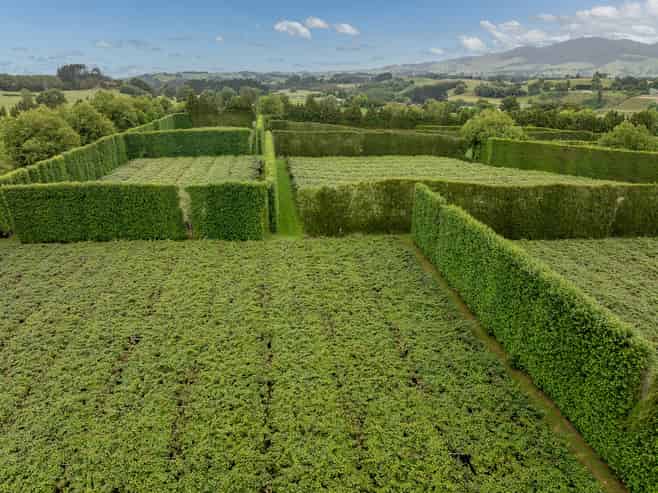 19E Amber Lane, Karapiro