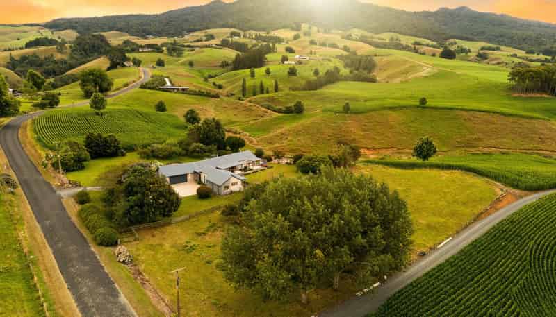 400 O'Shea Road, Pirongia