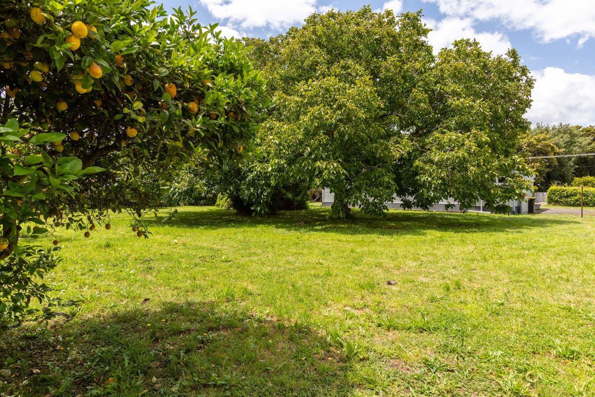 Timeless villa on a generous 2044 m² corner section - Widok 5