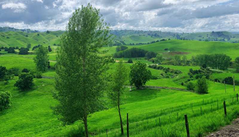  Hikumutu Road, Taumarunui